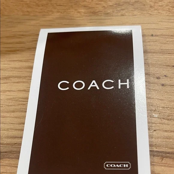 Coach Y2K Metallic Bronze Zebra Pouchette - Picture 2 of 16